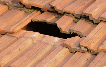 roof repair Treskinnick Cross, Cornwall
